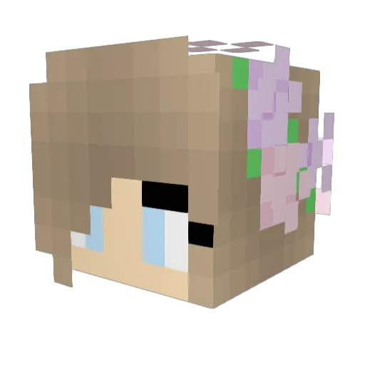Crispy_Fern Minecraft avatar head, 3D render