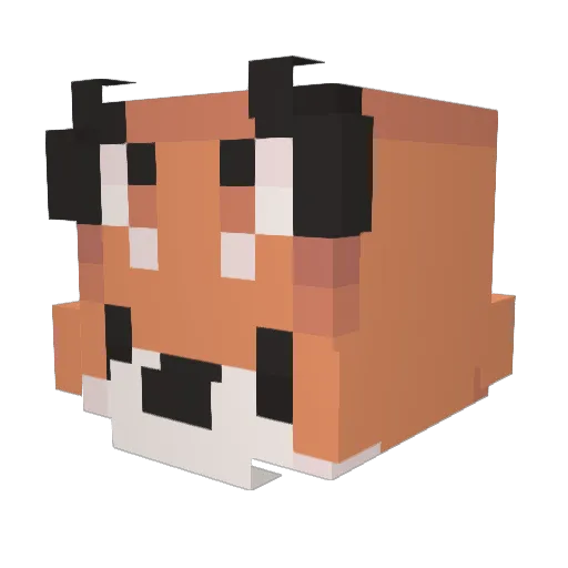 Crispy_Tako Minecraft avatar head, 3D render