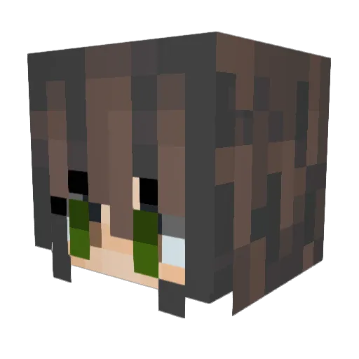 Crissxvs Minecraft avatar head, 3D render
