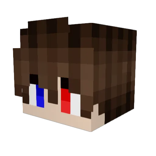 Crist1_7 Minecraft avatar head, 3D render