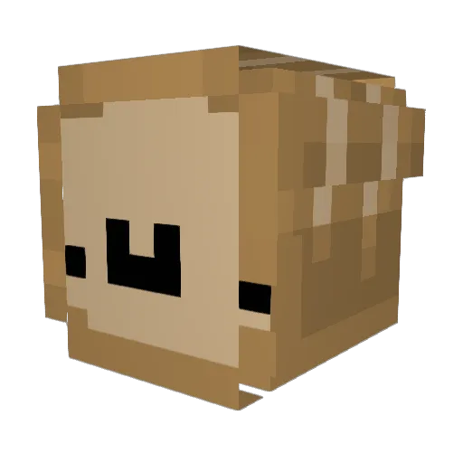 CritChance69 Minecraft avatar head, 3D render