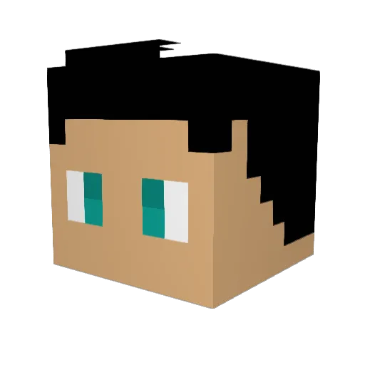 Crit_Pig_7 Minecraft avatar head, 3D render
