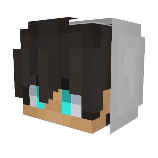 CriticalFNA Minecraft avatar head, 3D render