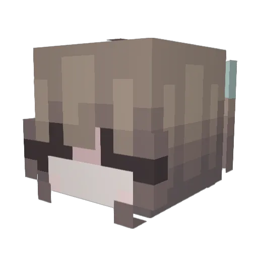 Critical_M1ss Minecraft avatar head, 3D render
