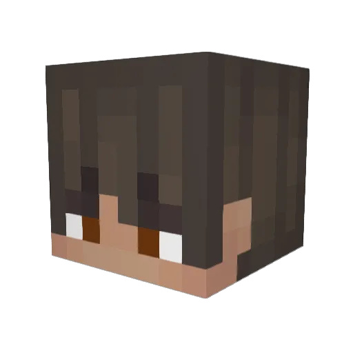 Critiphy Minecraft avatar head, 3D render