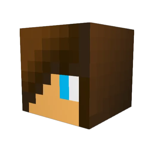 Critishzerstoert Minecraft avatar head, 3D render