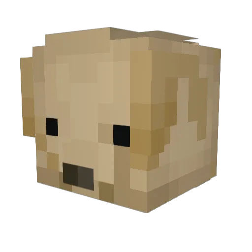 Crixion Minecraft avatar head, 3D render