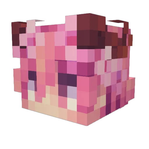 CrizzleMcSizzle Minecraft avatar head, 3D render