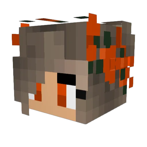 CrocRoc1 Minecraft avatar head, 3D render