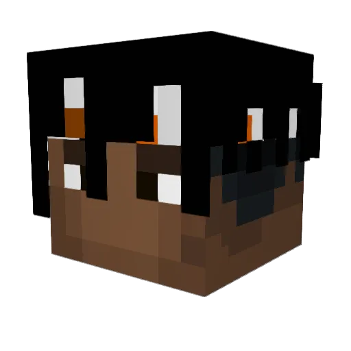 Crockrad Minecraft avatar head, 3D render