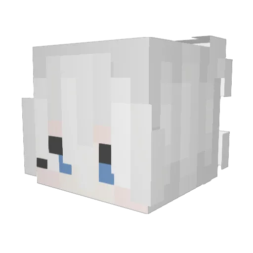 Crocodear241l Minecraft avatar head, 3D render