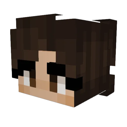 Crocodiddle_ Minecraft avatar head, 3D render