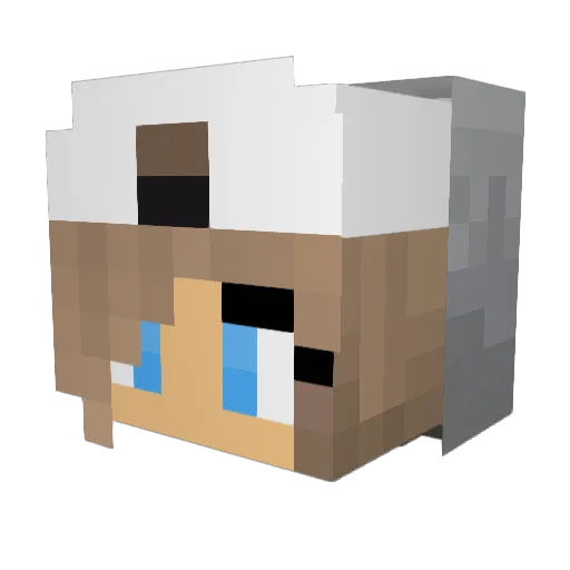Crocoox Minecraft avatar head, 3D render
