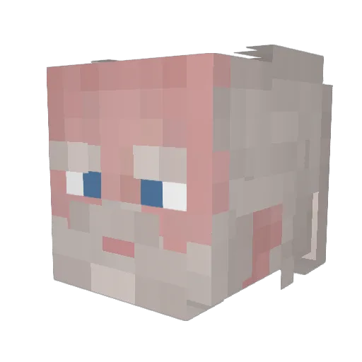 CrohnZ Minecraft avatar head, 3D render