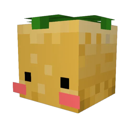 Cromg Minecraft avatar head, 3D render