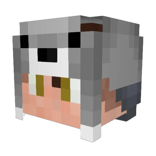 Croneydbr_ Minecraft avatar head, 3D render