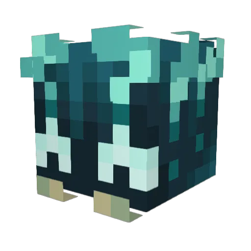 Croniom11 Minecraft avatar head, 3D render
