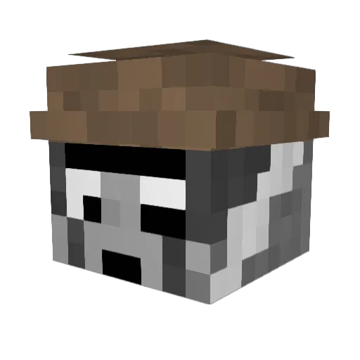 CronkyBadger Minecraft avatar head, 3D render