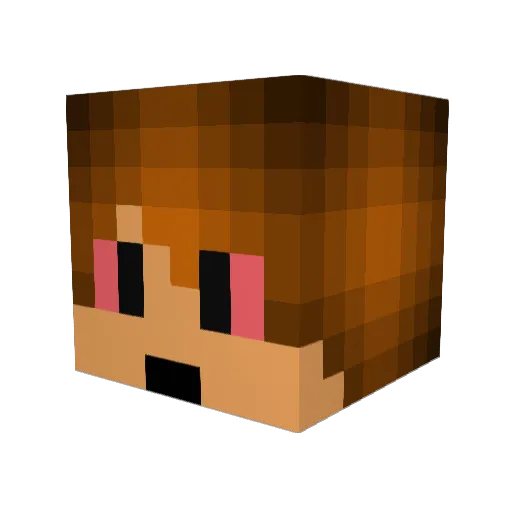 Croocroo Minecraft avatar head, 3D render