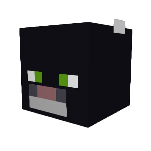 Crookshanks37 Minecraft avatar head, 3D render