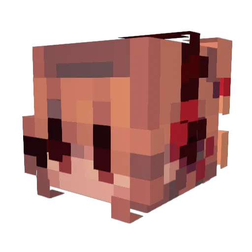 CroppedGull Minecraft avatar head, 3D render