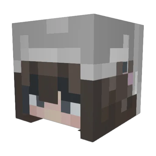 Crosmosis Minecraft avatar head, 3D render