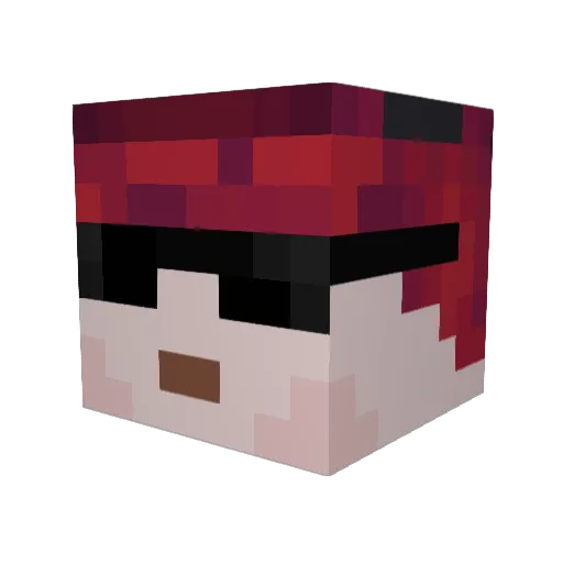 Cross2916 Minecraft avatar head, 3D render