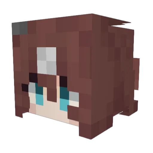 CrossAlter88 Minecraft avatar head, 3D render