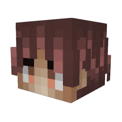 Cross_1647 Minecraft avatar head, 3D render