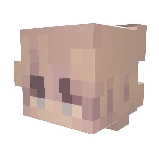 Cross_xXx Minecraft avatar head, 3D render