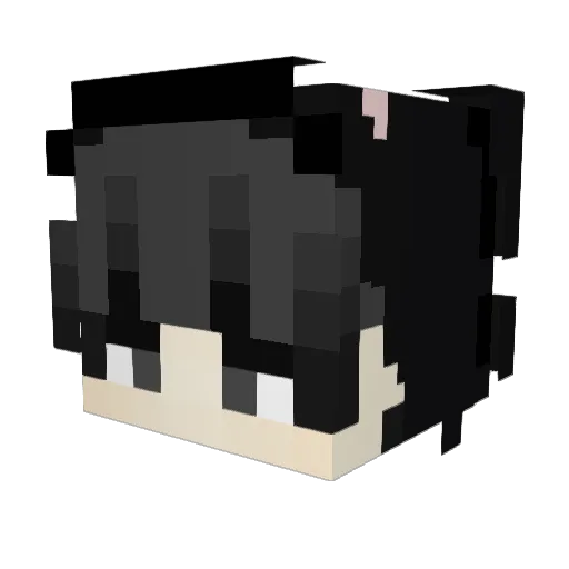Crossazer Minecraft avatar head, 3D render