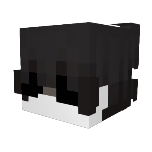 CrossedTunic718 Minecraft avatar head, 3D render