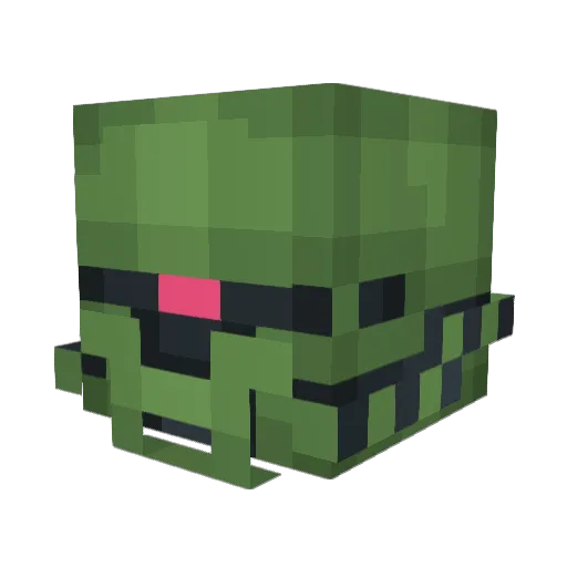 CrossroadDruid Minecraft avatar head, 3D render