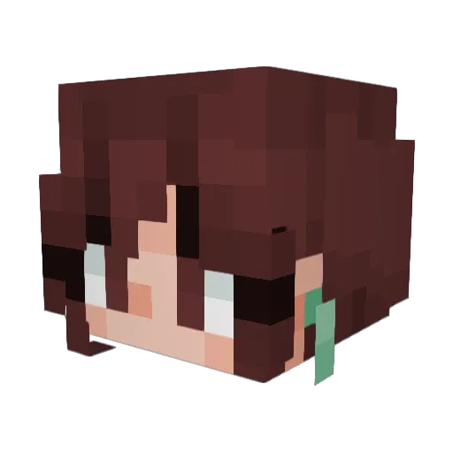 Crostadjanu Minecraft avatar head, 3D render