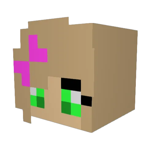 Crow02111 Minecraft avatar head, 3D render
