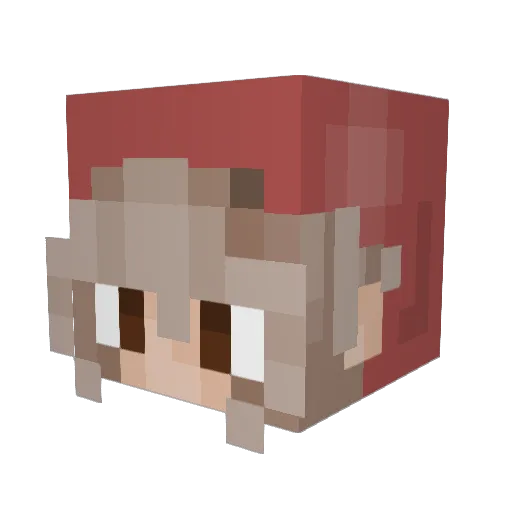 Crow224 Minecraft avatar head, 3D render