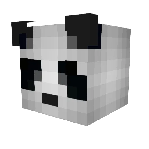 Crow425 Minecraft avatar head, 3D render