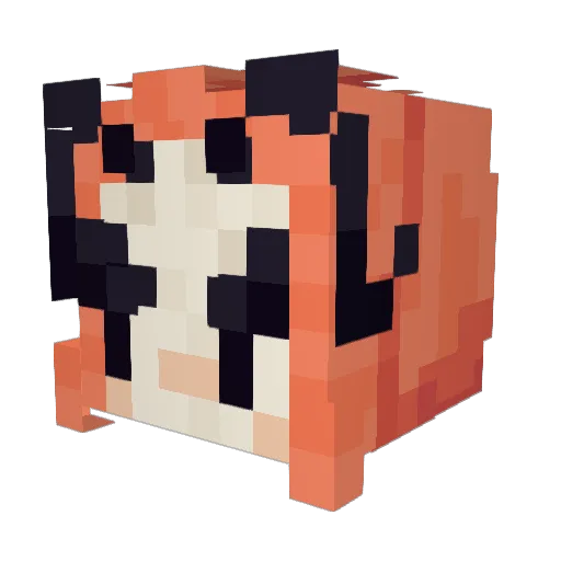 Crow772 Minecraft avatar head, 3D render