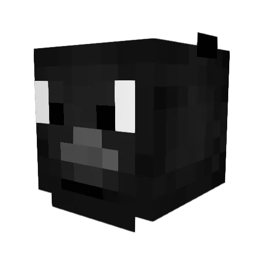 Crow8X Minecraft avatar head, 3D render