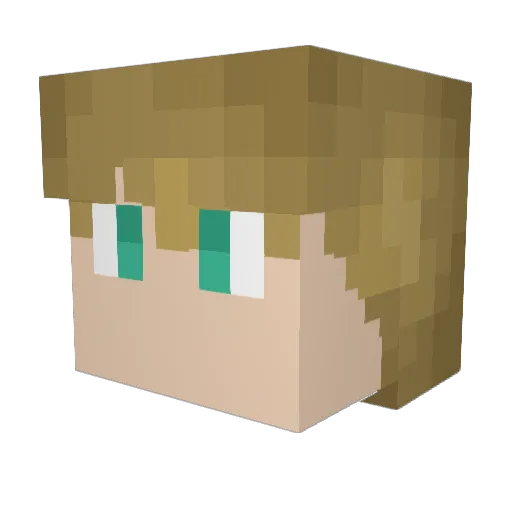 Crow93 Minecraft avatar head, 3D render