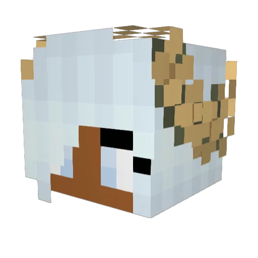 CrowClaws Minecraft avatar head, 3D render