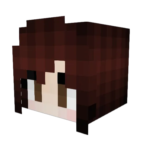 CrowRiley Minecraft avatar head, 3D render