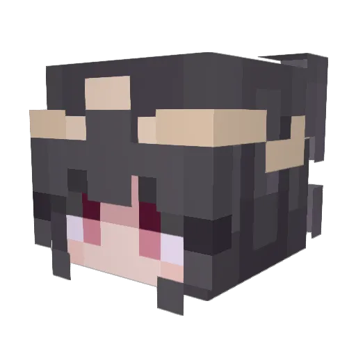 CrowStack Minecraft avatar head, 3D render