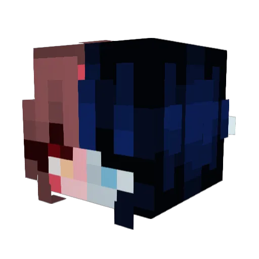 CrowStix Minecraft avatar head, 3D render