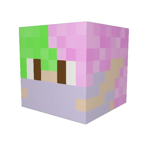 CrowTheKidd Minecraft avatar head, 3D render