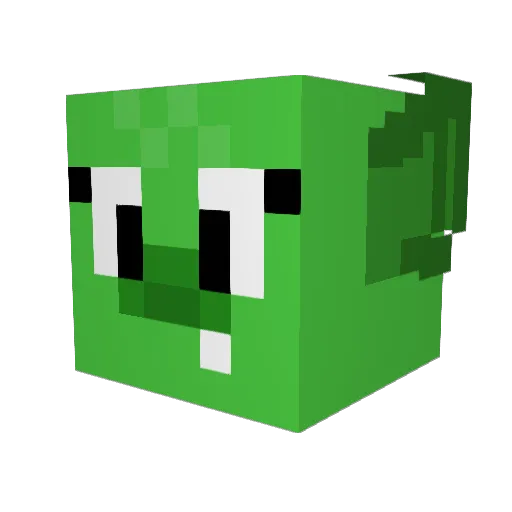 CrowVonCorbeau Minecraft avatar head, 3D render