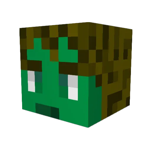 Crowabunga Minecraft avatar head, 3D render