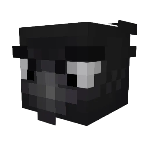 Crowanoke Minecraft avatar head, 3D render