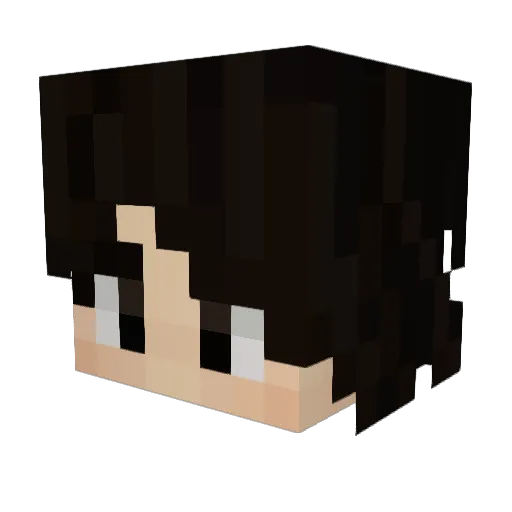 Crowe005 Minecraft avatar head, 3D render