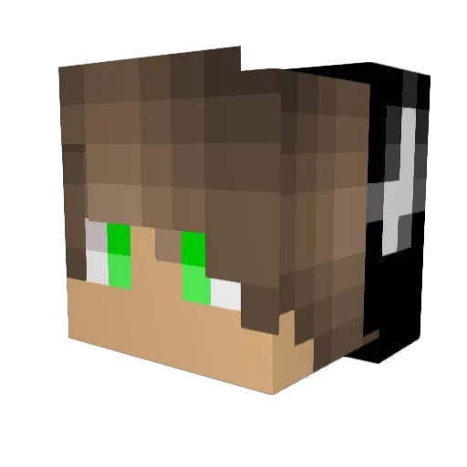 Crowenn Minecraft avatar head, 3D render